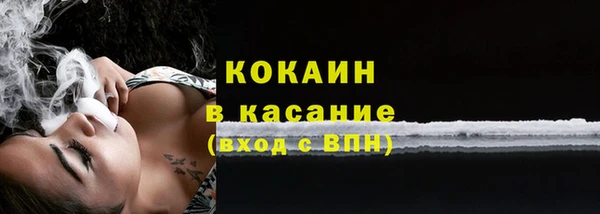 шишки Лиски