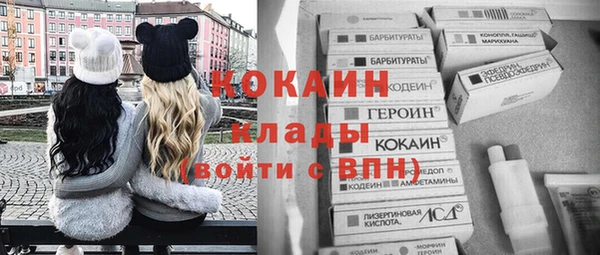 шишки Лиски