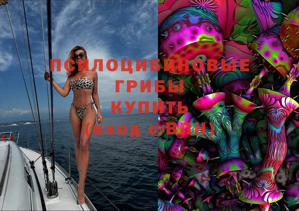 шишки Лиски