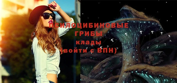 шишки Лиски