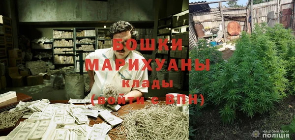 шишки Лиски