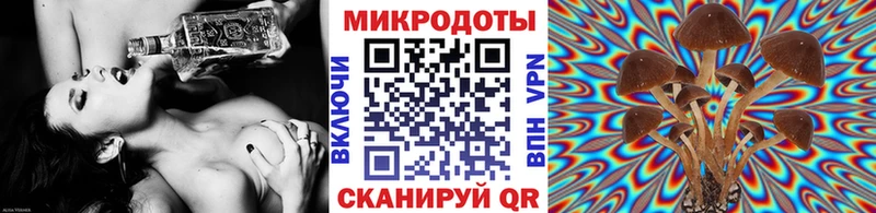 Псилоцибиновые грибы MAGIC MUSHROOMS  Сысерть 